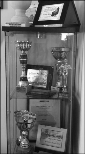 IMG_20160827_103948 bb.jpg